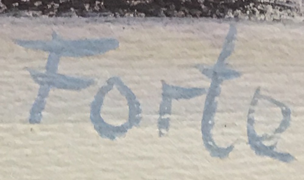 LOTE 113 - VICENTE FORTE