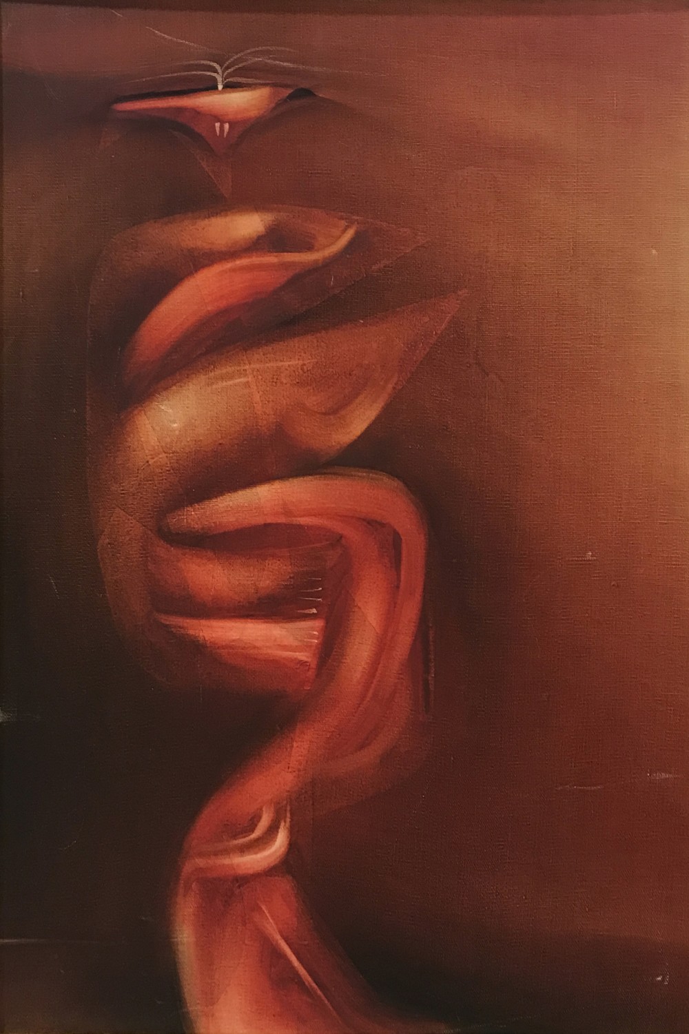 LOTE 1 - VÍCTOR CHAB