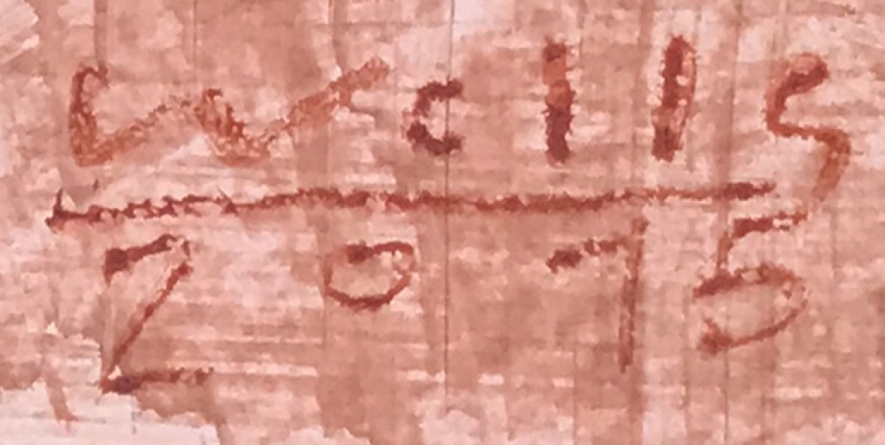 LOTE 33 - LUIS WELLS