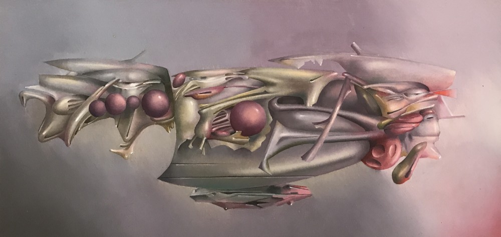 LOTE 41 - JUAN CAMPODÓNICO