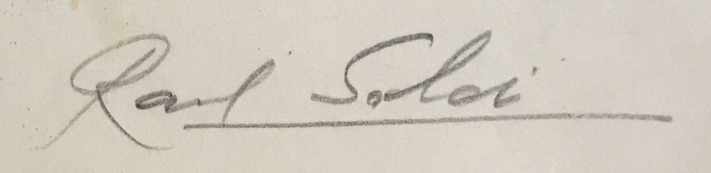 LOTE 101 - RAÚL SOLDI