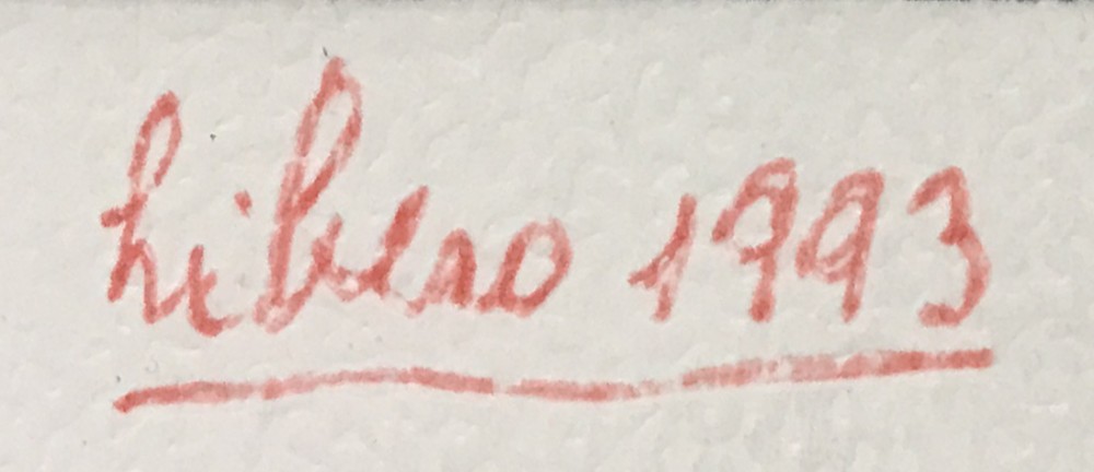 LOTE 23 - LIBERO BADII