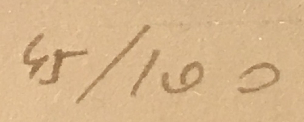 LOTE 94 - SAMER MACARIUS