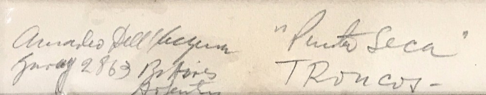 LOTE 10 - AMADEO DELL`ACQUA