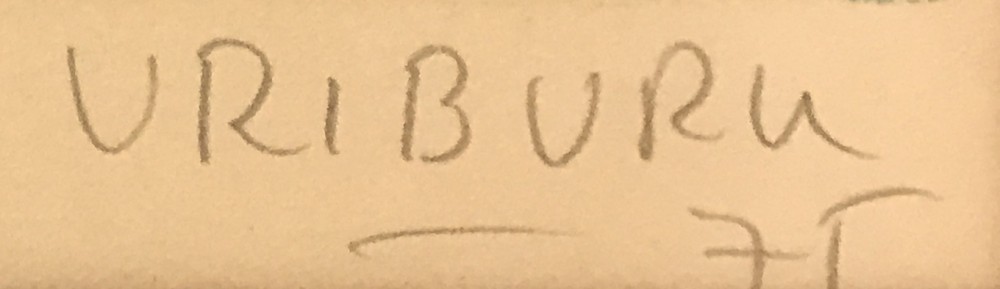LOTE 88 - NICOLÁS GARCÍA URIBURU