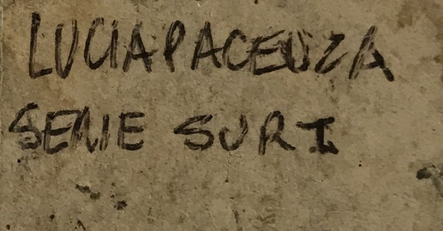 LOTE 43 - LUCÍA PACENZA