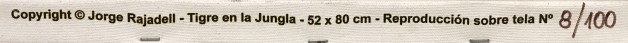 LOTE 30 - JORGE RAJADELL