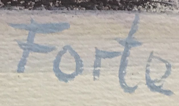 LOTE 113 - VICENTE FORTE