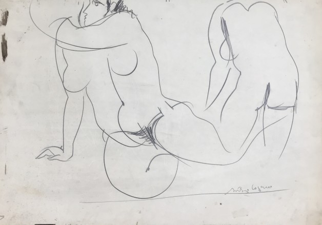 LOTE 61 - SANTIAGO COGORNO