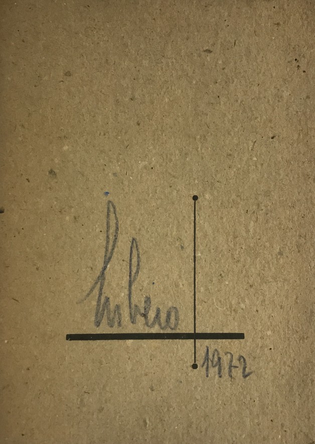 LOTE 56 - LIBERO BADII
