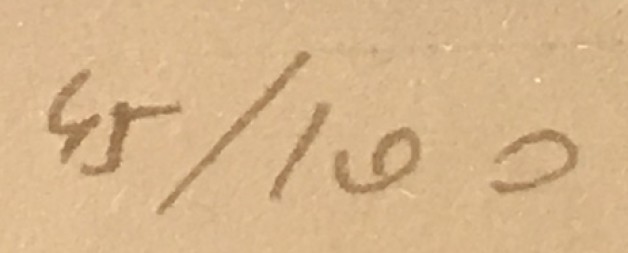 LOTE 94 - SAMER MACARIUS